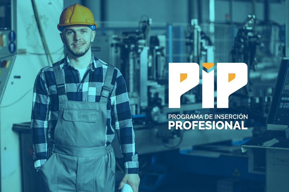 PIP 2019 nota gob 02