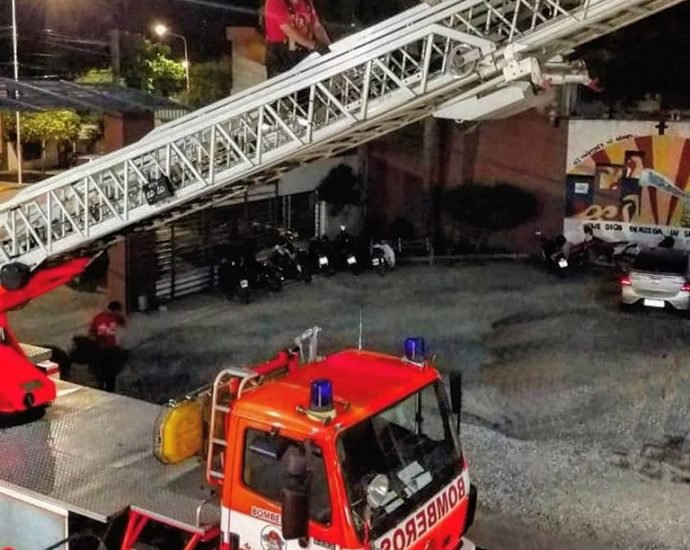 73232847 2447892882125940 7035012184371363840 n