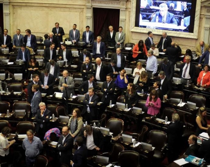 diputados 1571749516 1