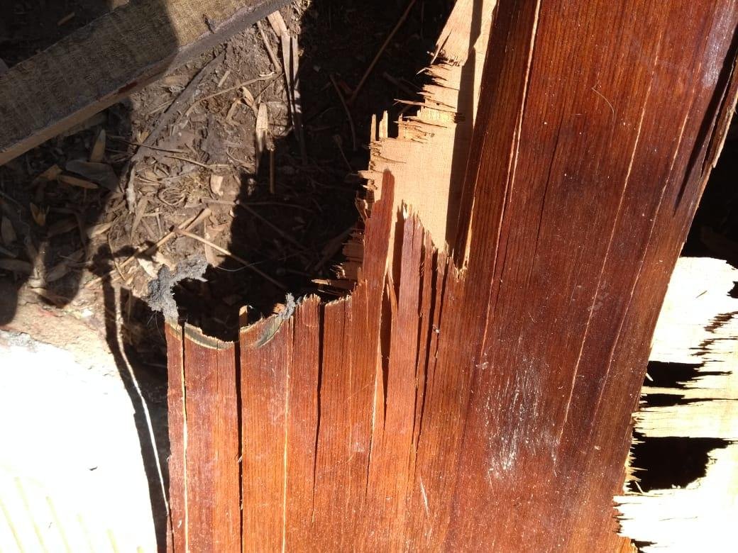 FEROZ ATAQUE A UN JUEZ DE CORRAL DE BUSTOS Y SU ESPOSA 3 puerta