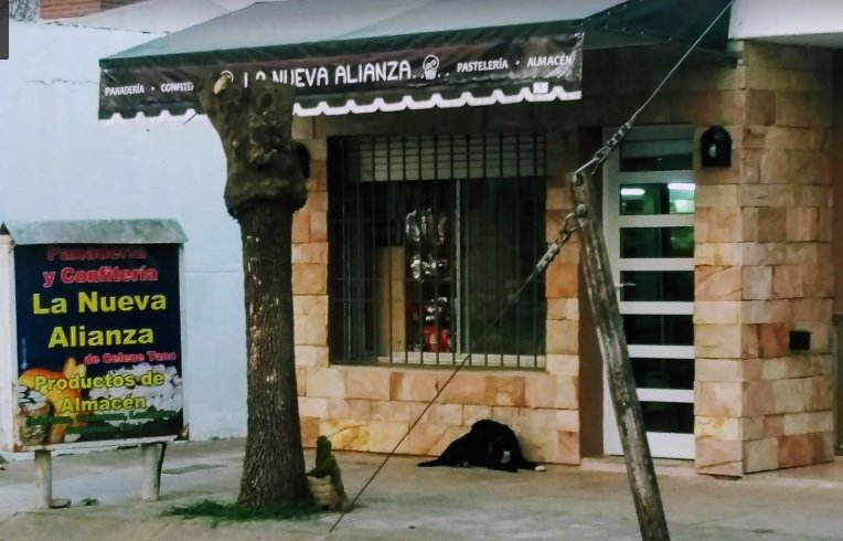 Menor intentó robar en una panadería y la dueña del local lo dejó encerrado en el lugar 1 3327 Panaderia La Nueva Alianza