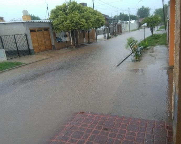 84096598 1028537280859646 8417888089136955392 n