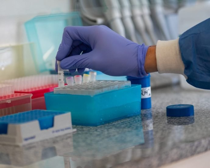 laboratorio central 2 1 1