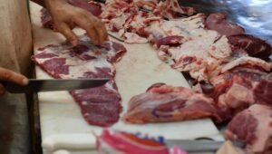 El consumo de carne vacuna, hasta un 48% por debajo de los valores recomendados 1 el gobierno anuncio una serie medidas controlar el precio la carne el mercado local