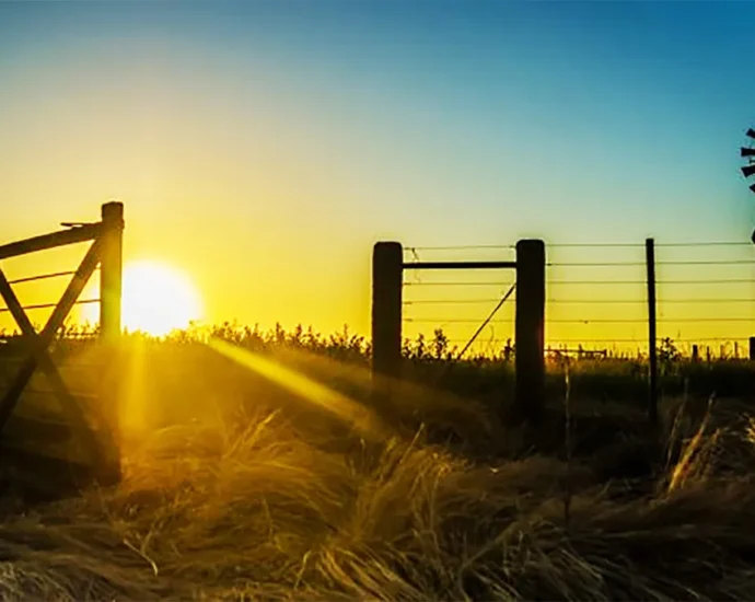 campo tranquera 1000jpg