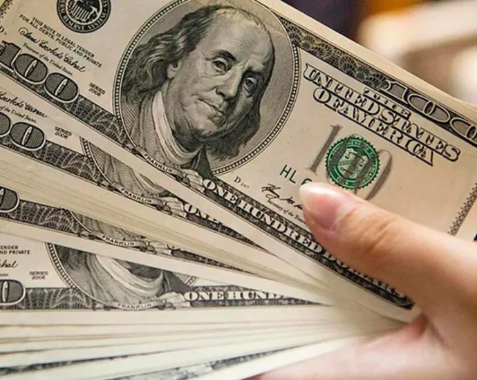 dolares e1716248351606