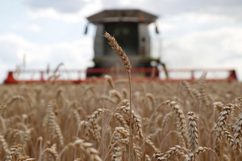 Massa anunció ayuda de hasta $ 20.000 por hectárea para pequeños productores 1 TPSIQNJNJL33KHDJUYEXISPXGU