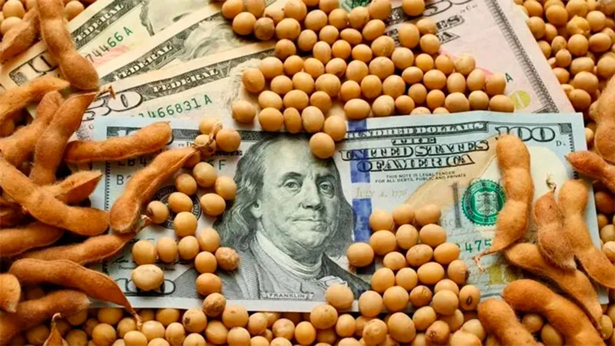 Especificaron cuáles son los productos de economías regionales alcanzados por el dólar agro 1 dolar agrojpg
