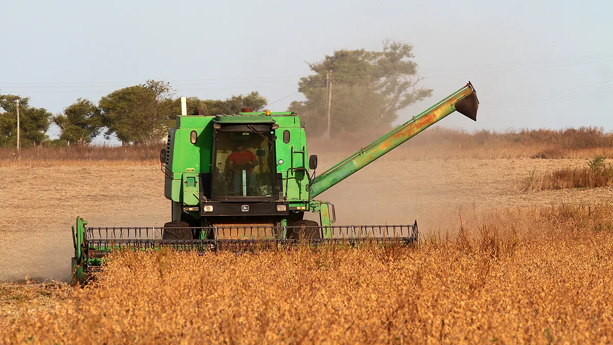 La peor cosecha de la historia en Córdoba: la caída en soja ahora llega al 60% 1 cosecha sojajpg 1