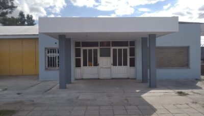 Castraciones masivas para perros y gatos en el Prado Español 1 189552381 114155410854123 55612089522588571 n