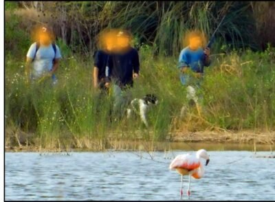 Caza y destrozos en la "Reserva Posta Espinillos" 1 IMG 20230707 WA0003