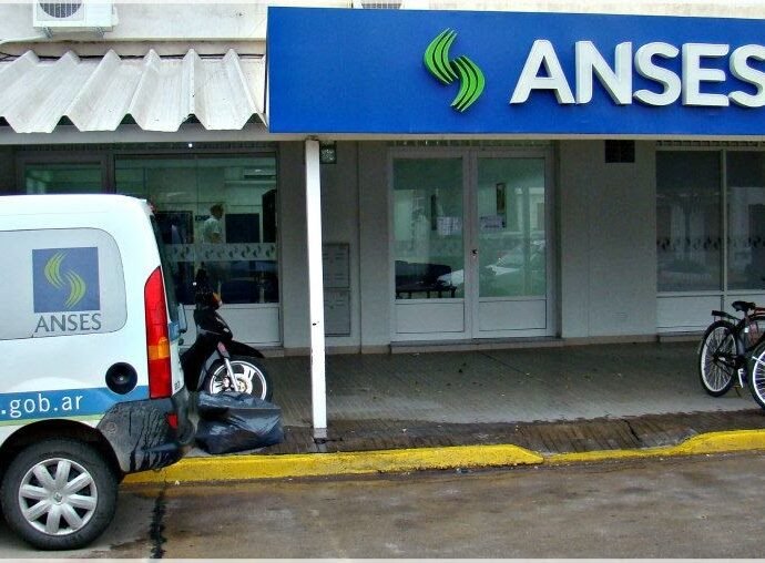 ANSES LEONES