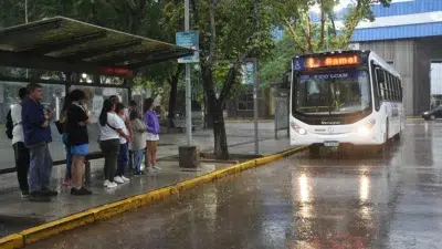 colectivo sat 2jpg