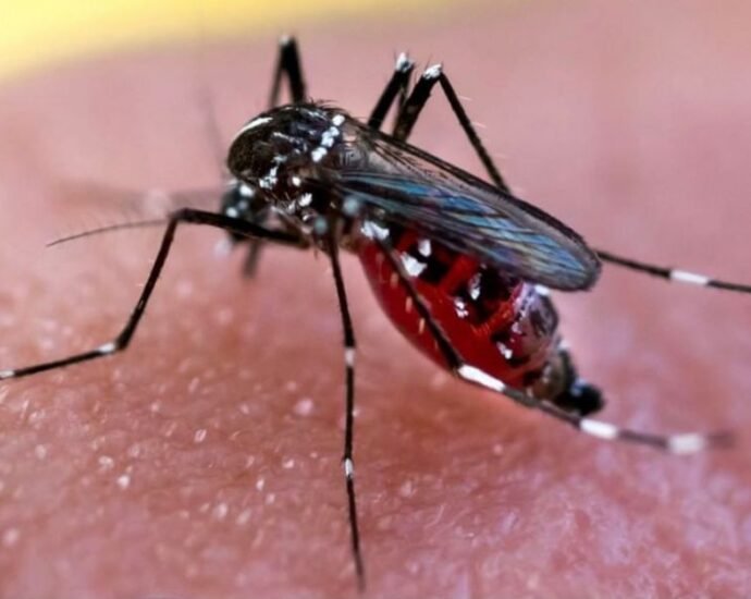 81192 son ocho los casos confirmados de dengue en la provincia