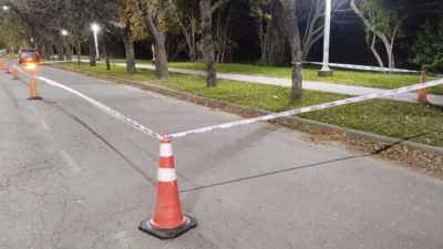 Una mujer quiso salvar a su perro y murió atropellada 1 justiniano possejpg