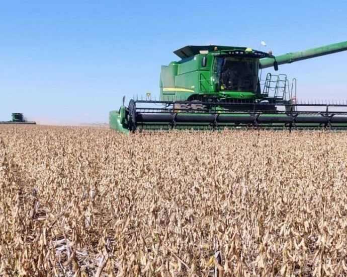 cosechadora soja ivan lubatti 1024x584 1