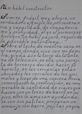 20241201 032738 e1733035041407