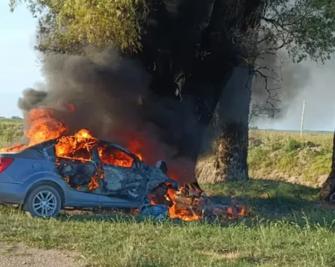 39png e1735922370333