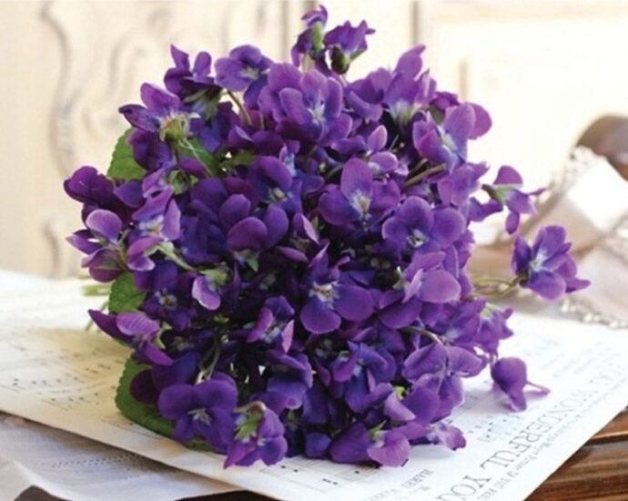 694a10473e2bbed4174e4663d4c2ed53