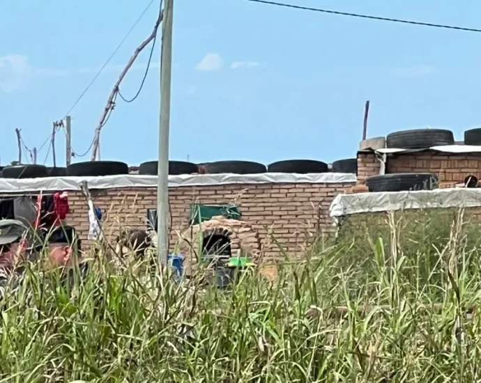 whatsapp image 2025 03 04 at 133845jpeg e1741140657949