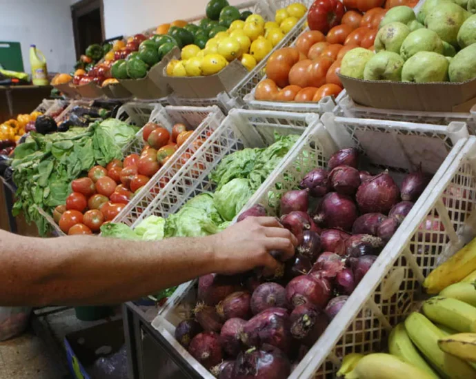 verduras aumentosjpg