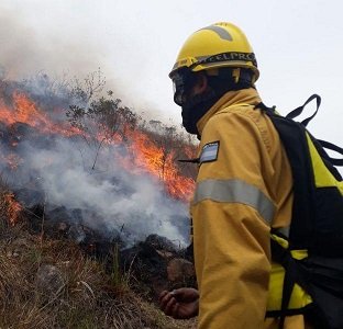 BOMBERO FORESTAL