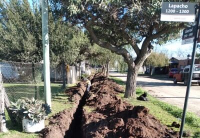 WhatsApp Image 2025 06 11 at 12.41.34 768x1024 1 e1749825538888