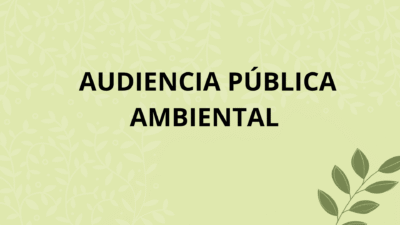 Audiencia Pública Ambiental 1 audiencia publica ambiental 1