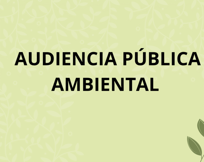 Audiencia Pública Ambiental 19 audiencia publica ambiental 1
