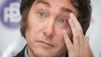 La Justicia obliga a Milei a dar explicaciones por exponer a un niño en sus redes 1 mileiwebp