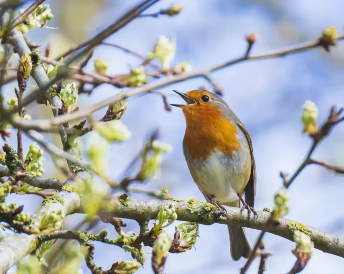 768433400 233641056 1706x1280