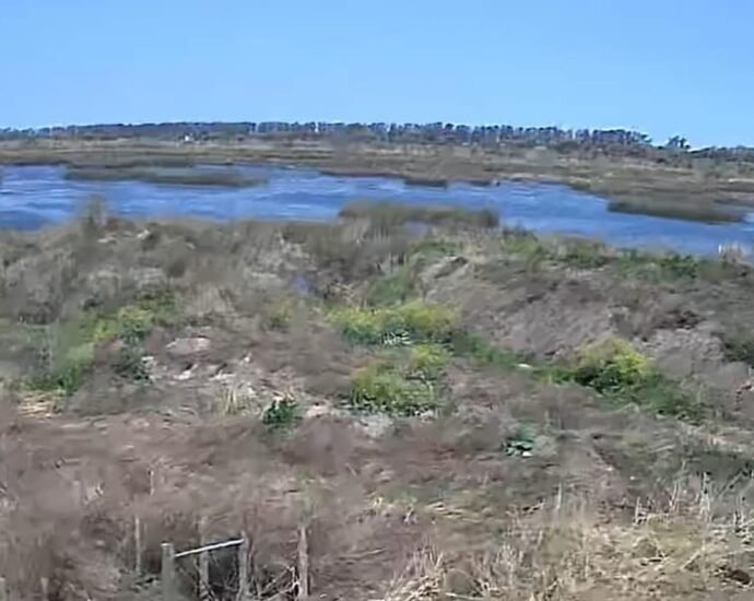 550314892 18046840979647583 779472894117775914 n e1758290475261