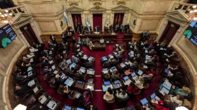 El Senado rechazó el veto de Milei y ratificó la emergencia en discapacidad 1 senado