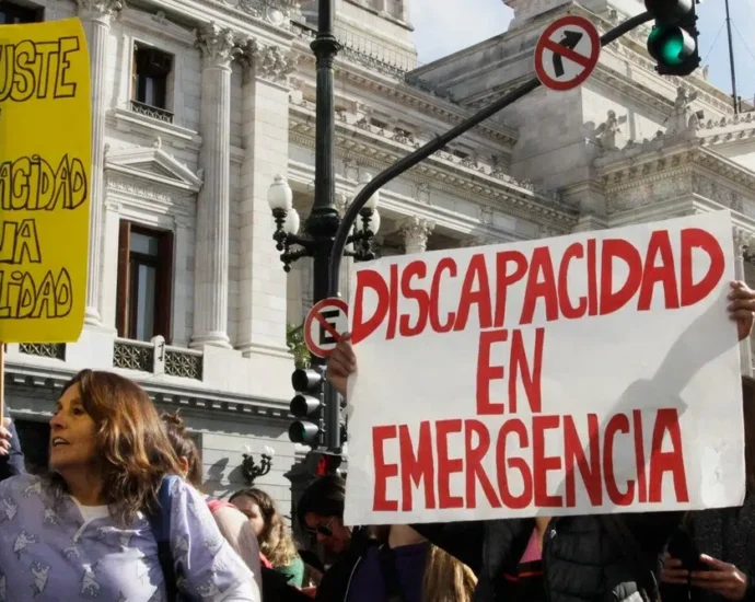 ley de emergencia en discapacidad e1765578663407