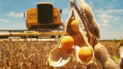 El Gobierno anunció una baja permanente de retenciones para el sector agropecuario 1 mercado granospng